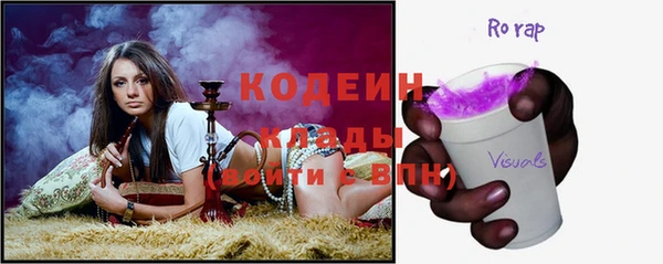 ешки Инта