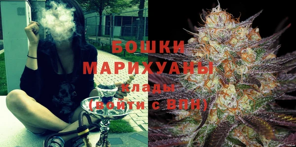 2c-b Инсар