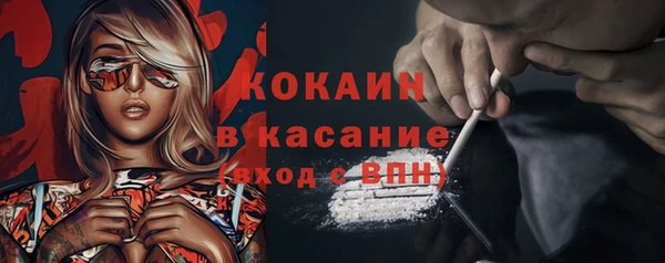 2c-b Бикин