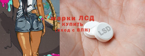 ешки Инта