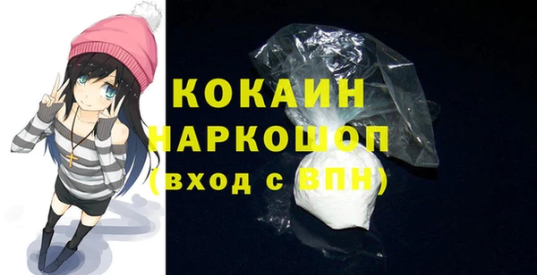 ешки Инта