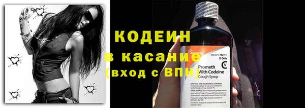 ешки Инта