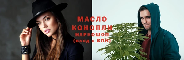 ешки Инта