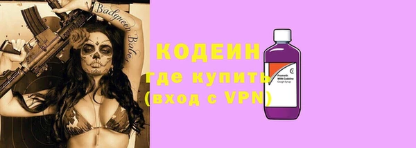 ешки Инта