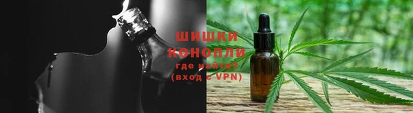 ешки Инта