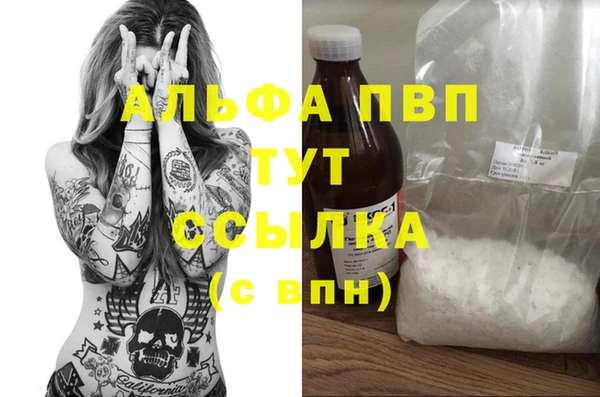 2c-b Инсар