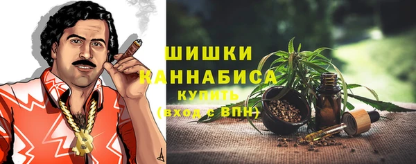 не бодяженный Иннополис