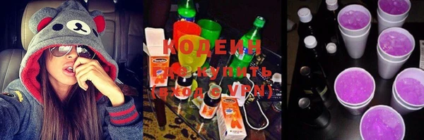 ешки Инта