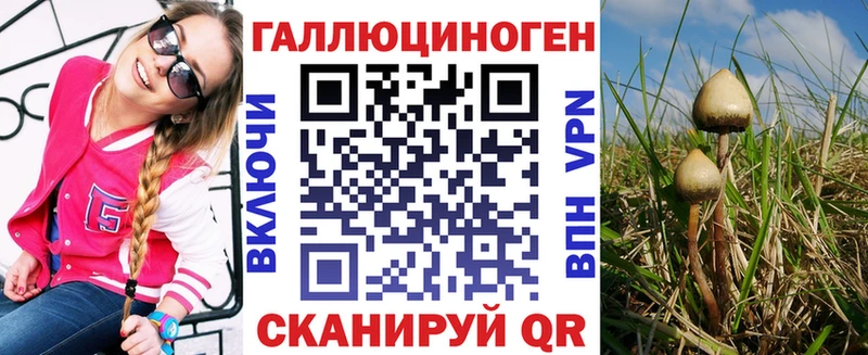 что такое   Кизилюрт  OMG онион  Псилоцибиновые грибы ЛСД 